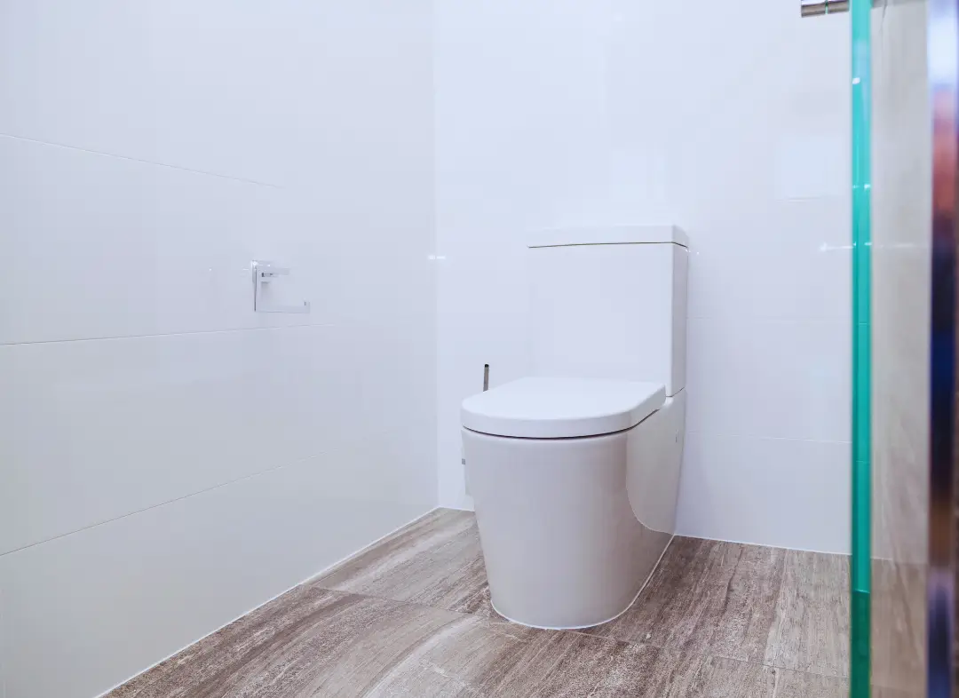 Remplacement de wc Ville-la-Grand